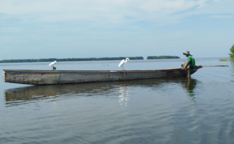 La Ciénaga Grande de Santa Marta: tan grande y tan frágil a la vez